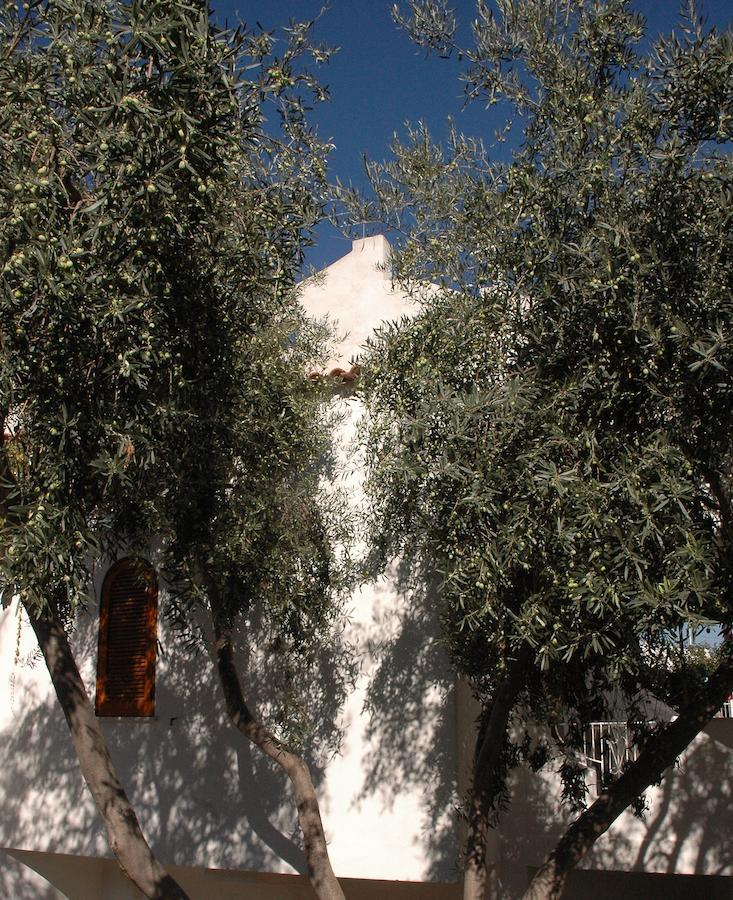 Residence Villa Tina Forio di Ischia Exterior foto